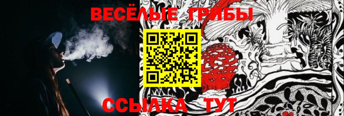 Галлюциногенные грибы Magic Shrooms Балашов