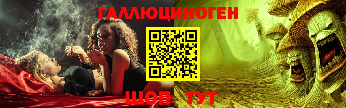 Галлюциногенные грибы GOLDEN TEACHER  Вход с VPN  Балашов 